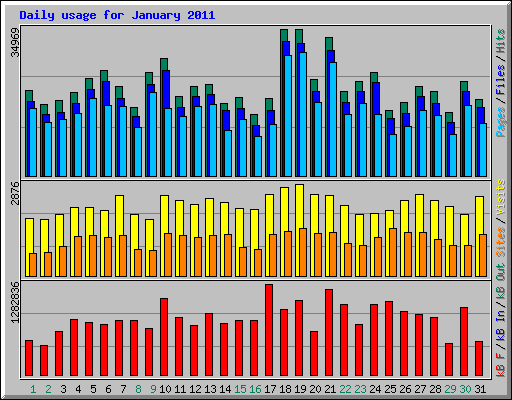Daily usage for January 2011