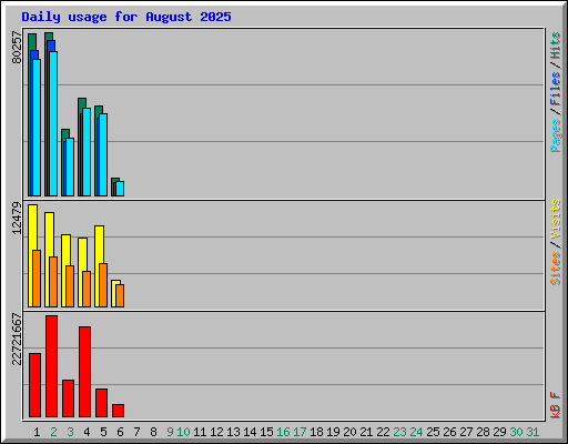 Daily usage for August 2025